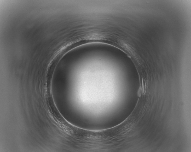 X0000052950531200507151712