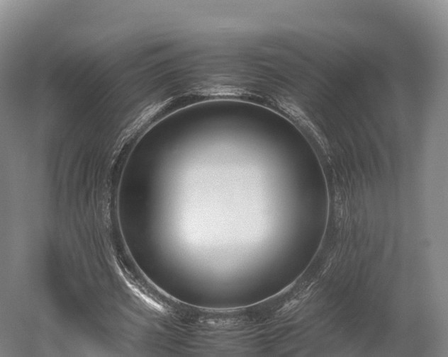 X0000052950533200507151712