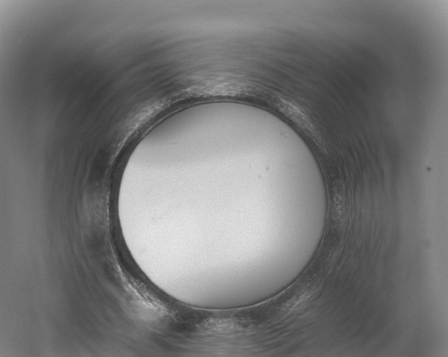 X0000052950534200507151712