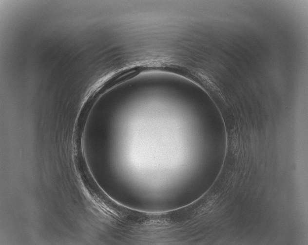 X0000052950536200507151712