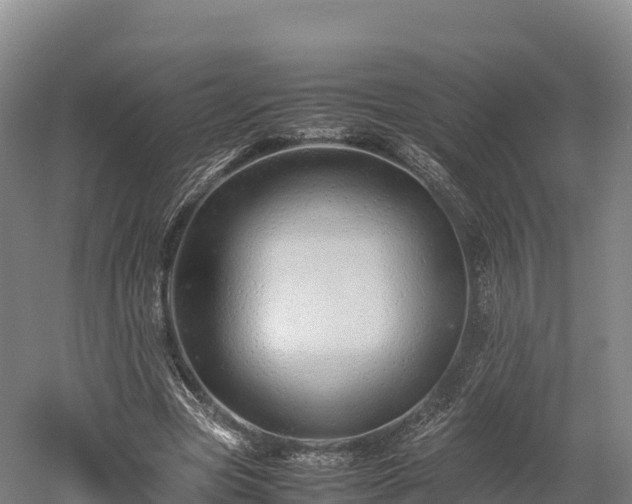 X0000052950537200507151712