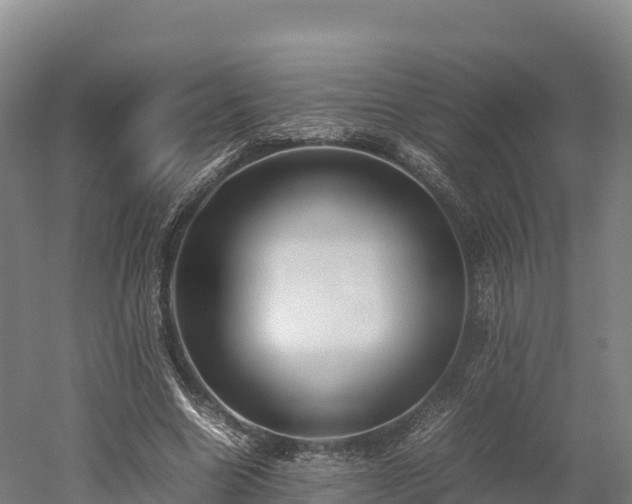 X0000052950538200507151712