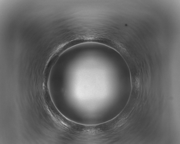 X0000052950540200507151712