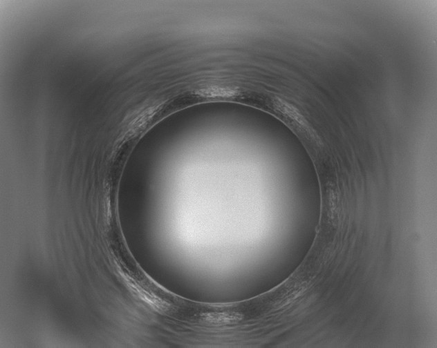 X0000052950541200507151712