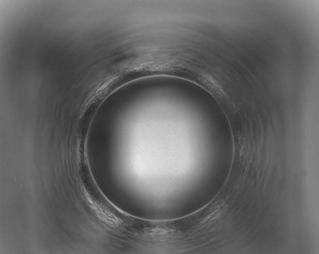 X0000052950542200507151712