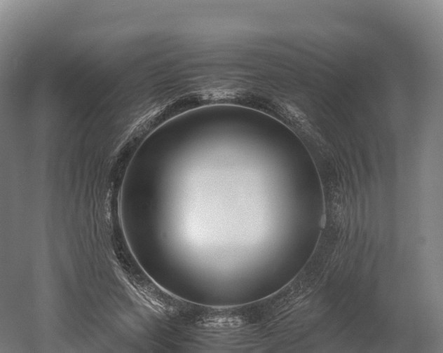 X0000052950543200507151712