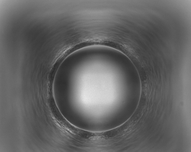 X0000052950544200507151712