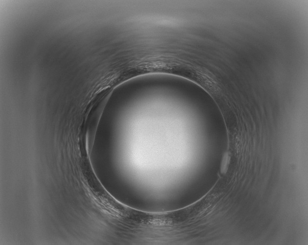 X0000052950546200507151712