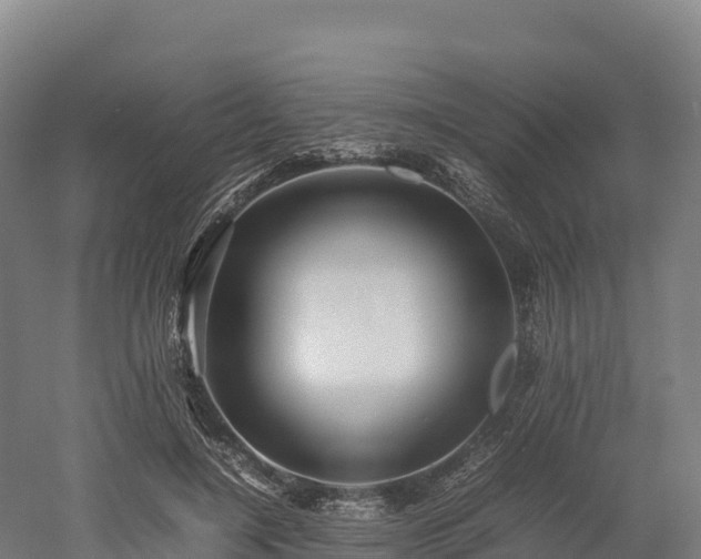 X0000052950548200507151712