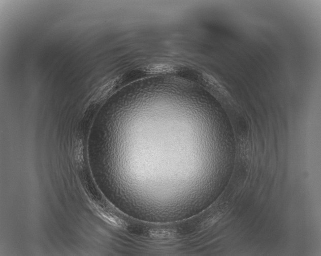 X0000052950549200507151712