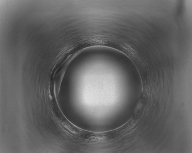 X0000052950552200507151712