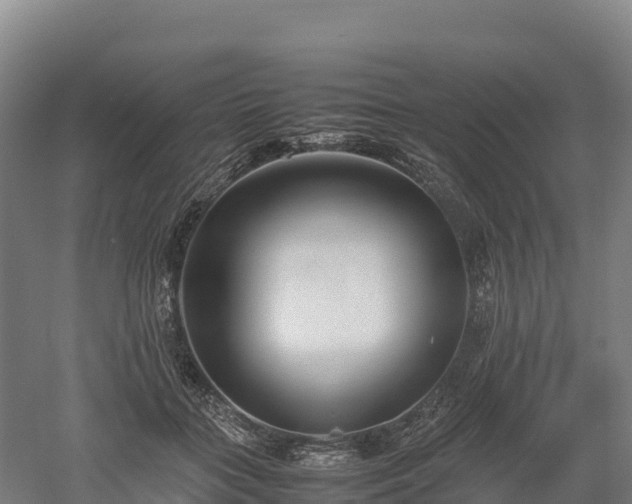 X0000052950555200507151712