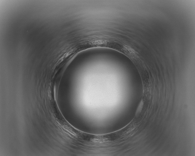 X0000052950556200507151712