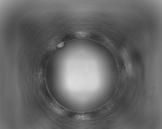 X0000052950557200507151712