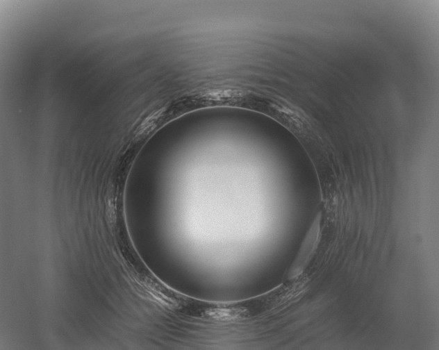X0000052950558200507151712