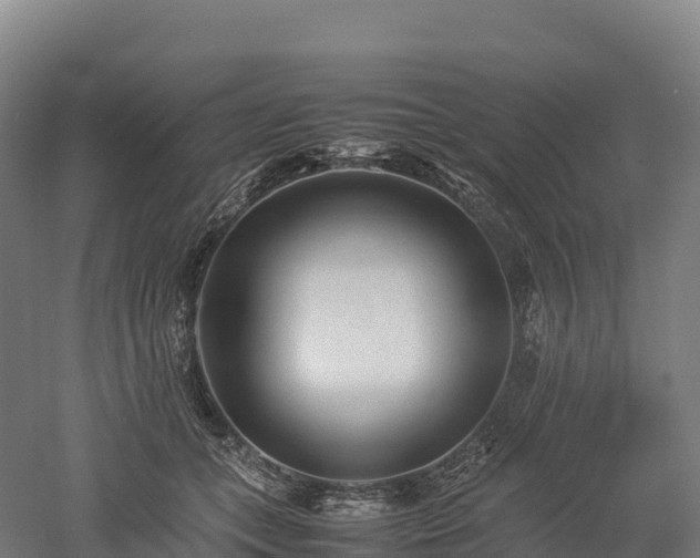 X0000052950559200507151712