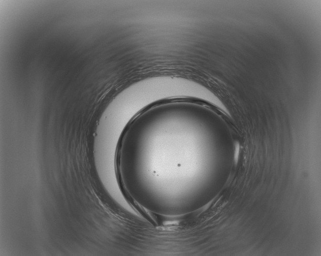 X0000052950560200507151712