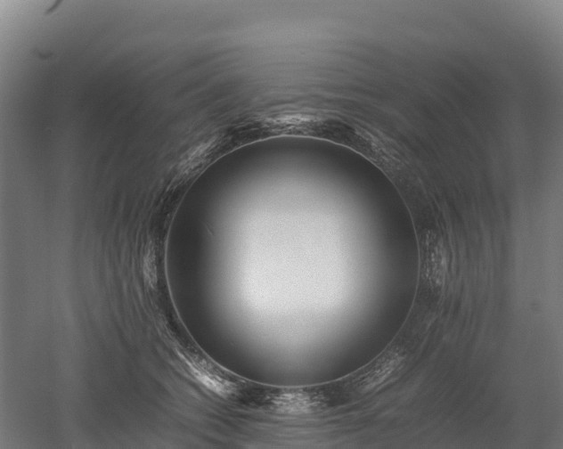 X0000052950562200507151712
