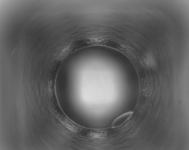 X0000052950563200507151712
