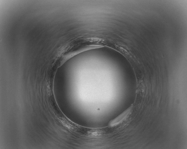 X0000052950564200507151712