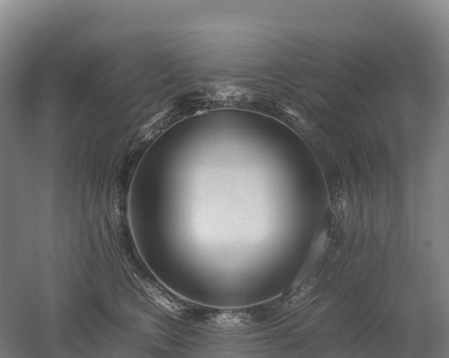 X0000052950566200507151712