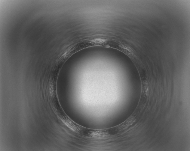 X0000052950568200507151712