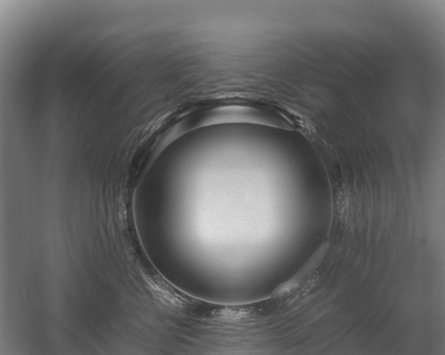 X0000052950570200507151712