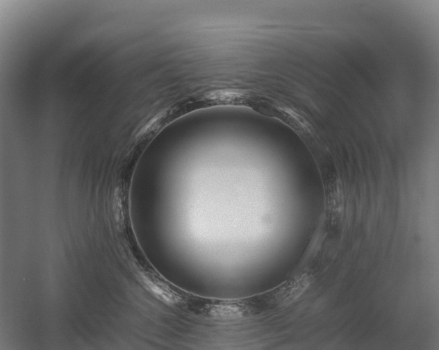 X0000052950572200507151712