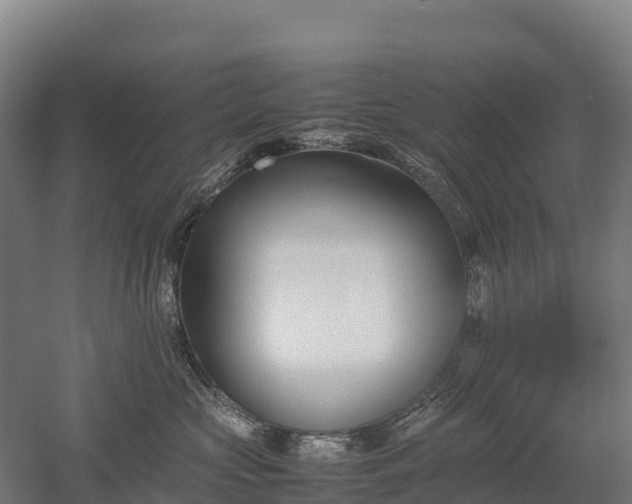 X0000052950573200507151712
