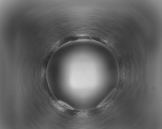 X0000052950574200507151712