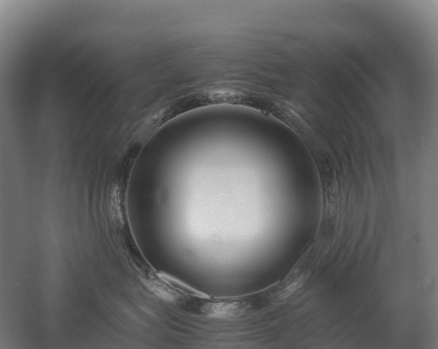 X0000052950575200507151712