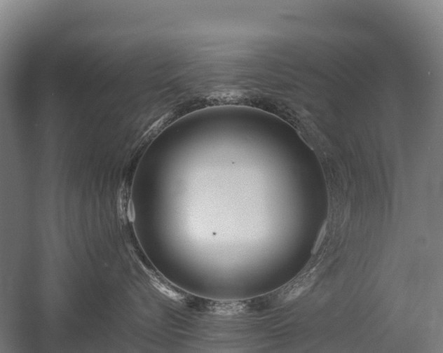 X0000052950576200507151712