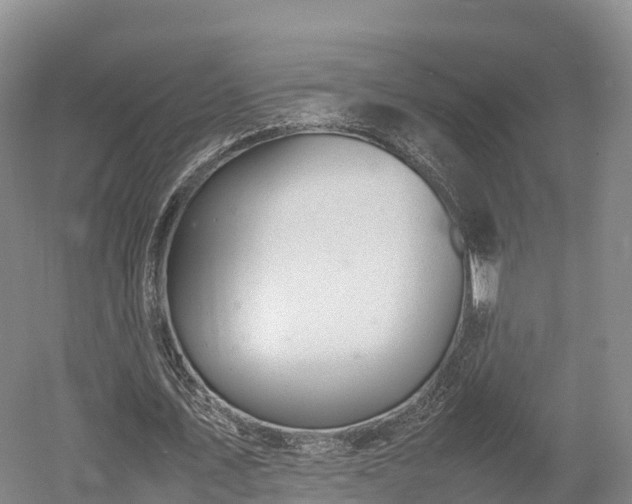 X0000052950579200507151711