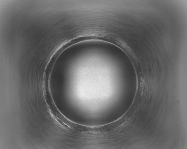 X0000052950580200507151711