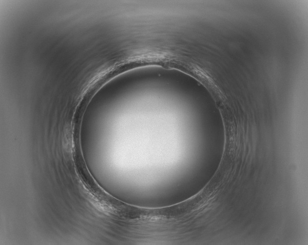 X0000052950582200507151711