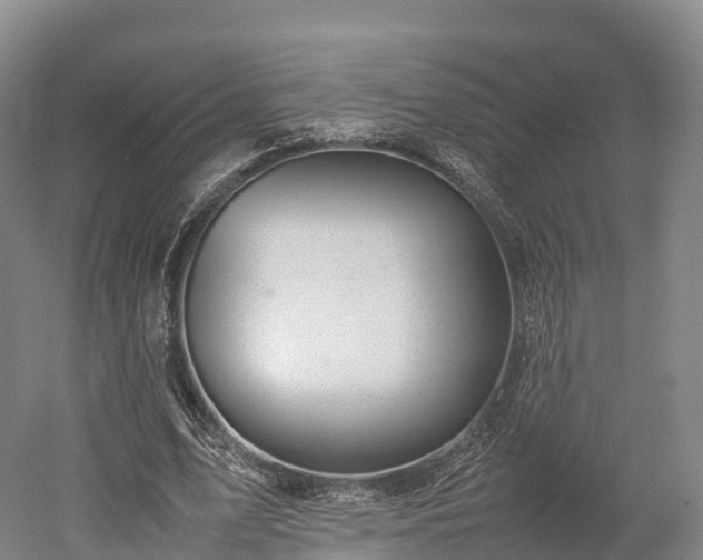 X0000052950583200507151711