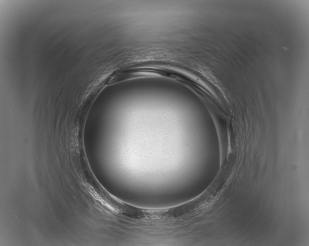 X0000052950585200507151711
