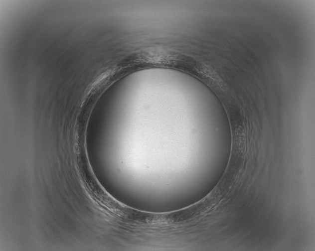 X0000052950587200507151711