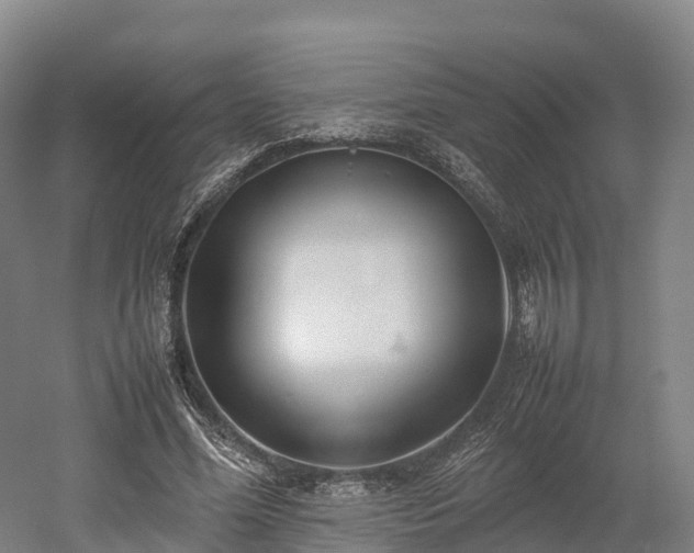 X0000052950588200507151711