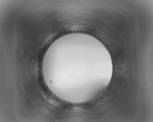 X0000052950592200507151711