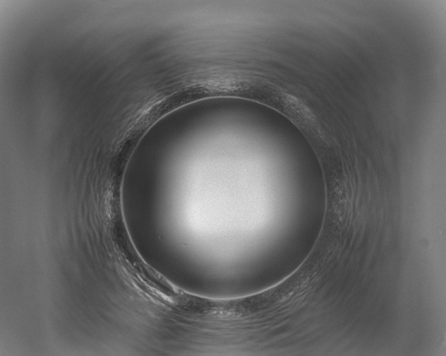 X0000052950596200507151711