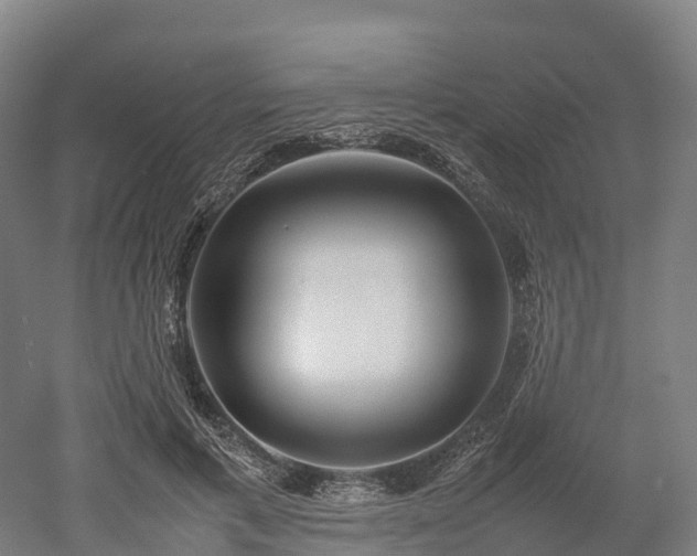 X0000052950597200507151711