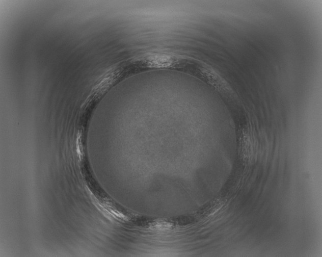 X0000052950598200507151711