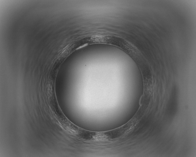 X0000052950603200507151711