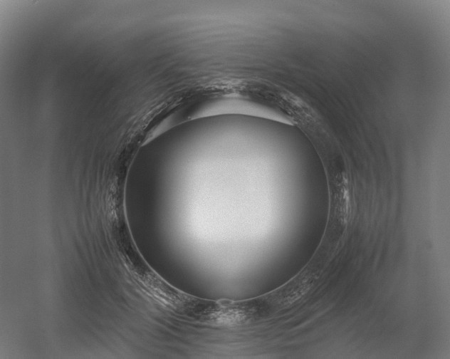 X0000052950604200507151711