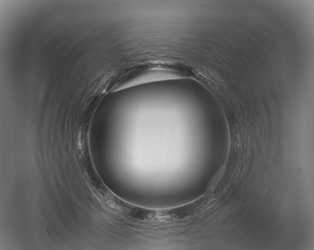 X0000052950607200507151711