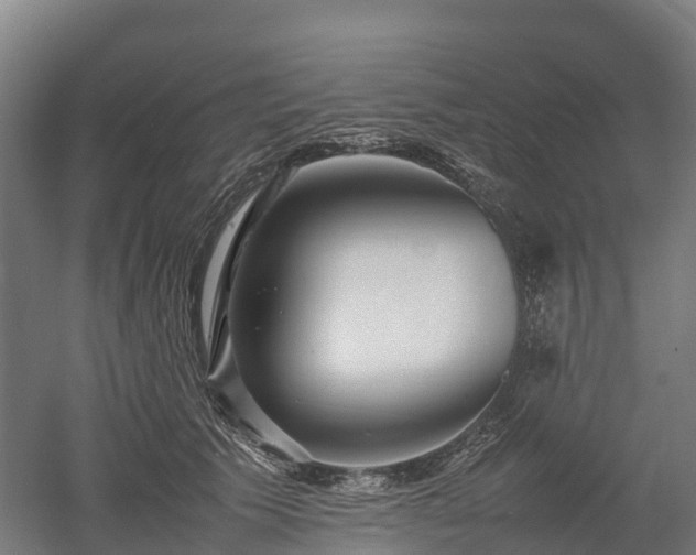X0000052950609200507151711