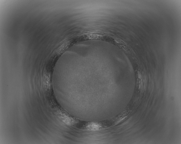 X0000052950610200507151711