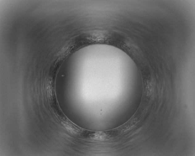 X0000052950612200507151711