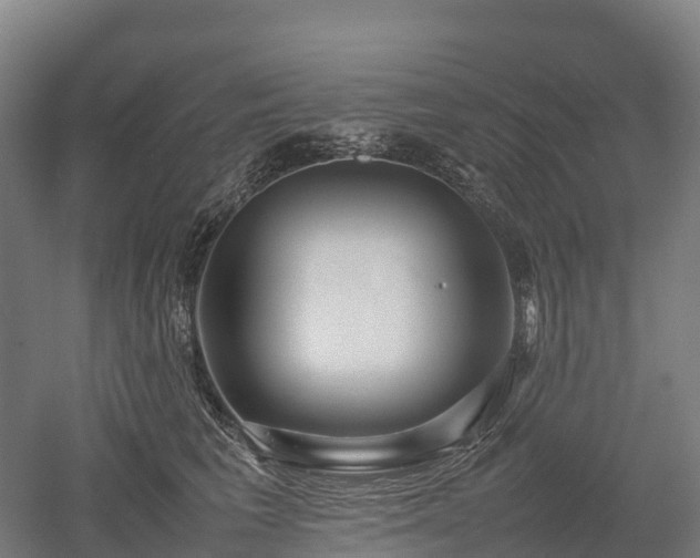 X0000052950613200507151711